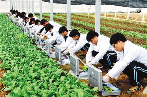 農(nóng)大溫情畢業(yè)禮 萬斤水果贈學(xué)子，暖心與專業(yè)技能并重